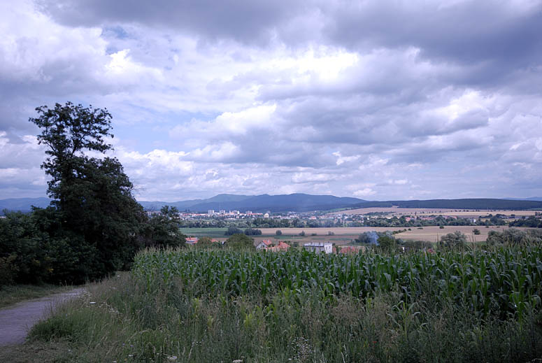 zurück
